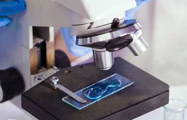 Microfluidic Electrical Impedance Spectroscopy Measurement