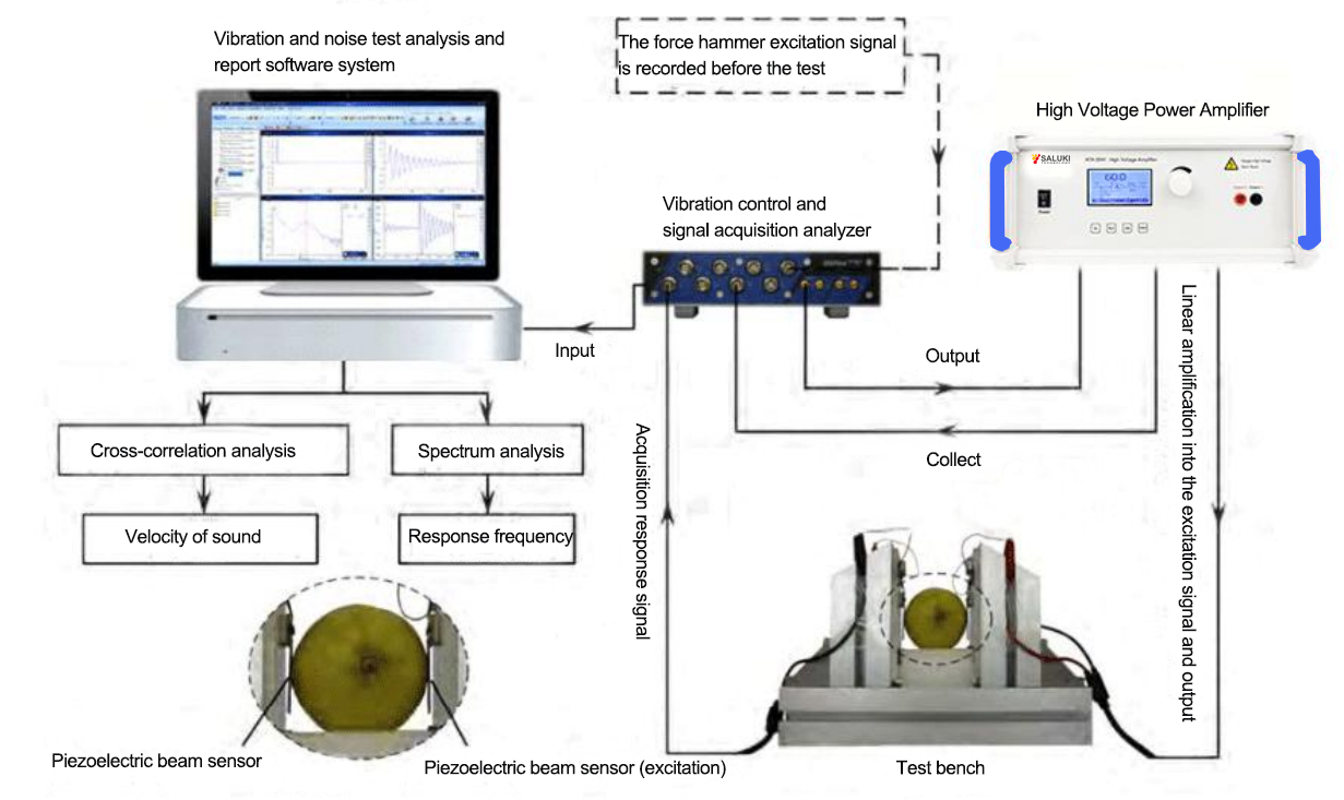Application of power amplifier to nondestructive testing of pear hardness based on sound and vibration response method