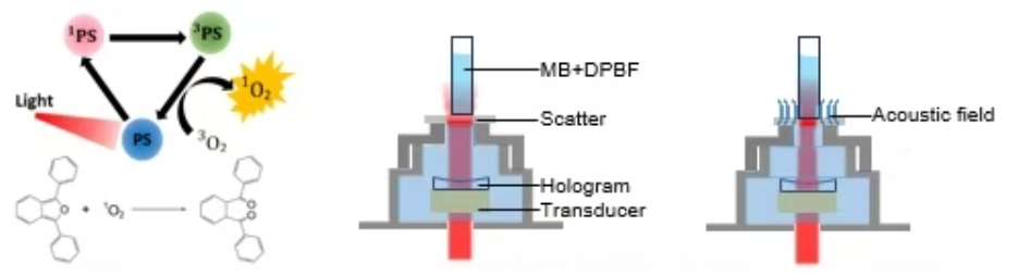 Application of SLA-HVP-105 high voltage power amplifier in acoustic-optic synergistic enhancement in deep tissue photodynamic therapy